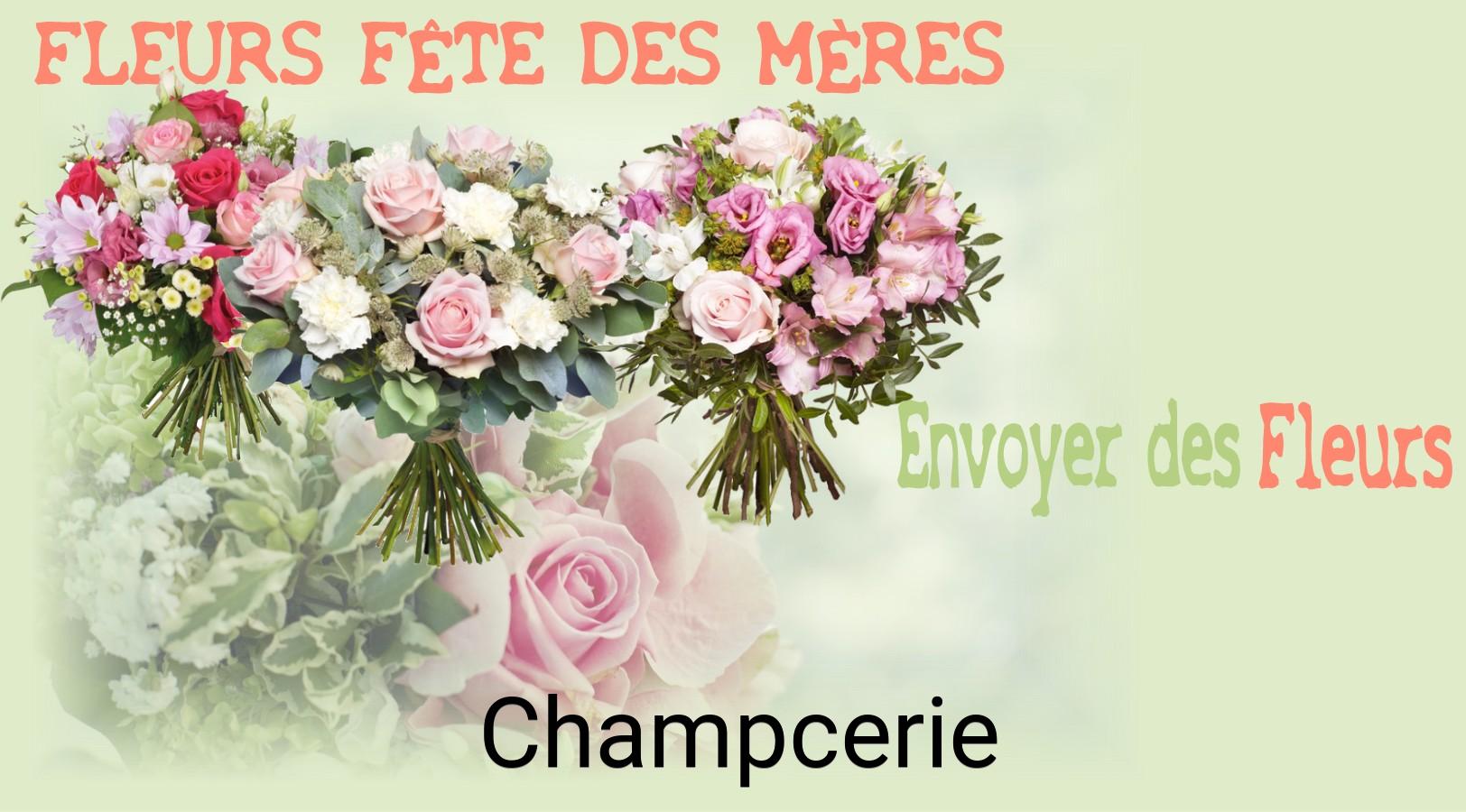 Bouquet de Fête des Mères livré à Champcerie